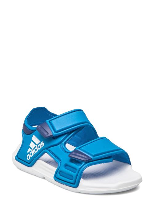 adidas Performance Altaswim I Adidas Performance Blue