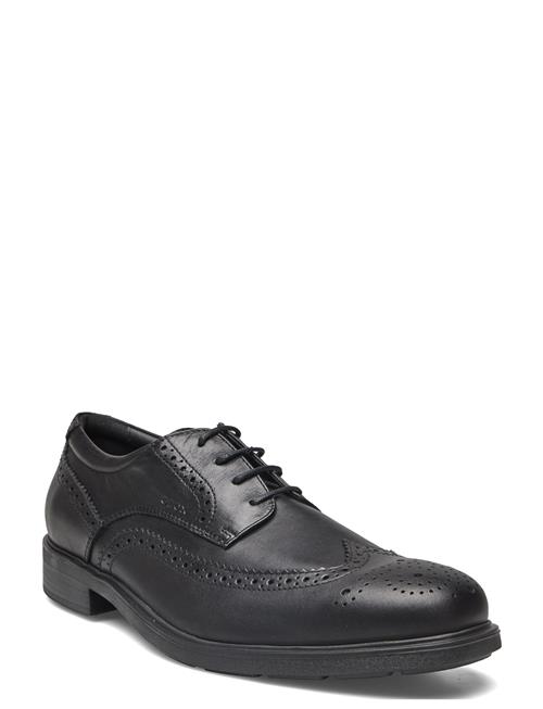 GEOX U Dublin B GEOX Black