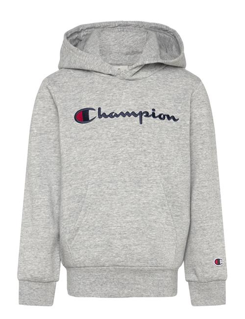 Champion Hooded Sweatshirt Champion Grey