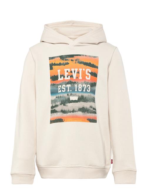 Levi's Lvb Landscape Box Hoodie / Lvb Landscape Box Hoodie Levi's Cream