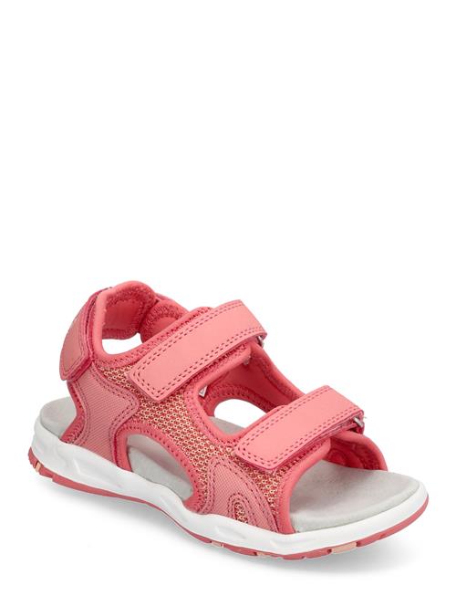 Anchor Sandal 3V Viking Coral