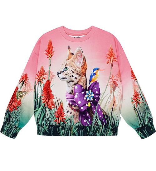 Se Molo Molo Sweatshirt - Maxi - Fancy Cat ved KidsWorld