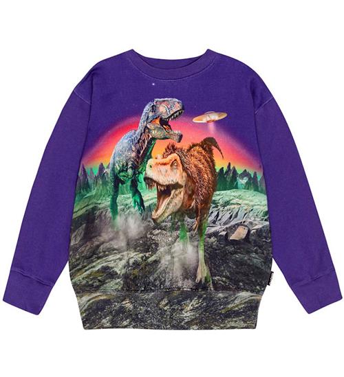 Molo Molo Sweatshirt - Mattis - Dino Play