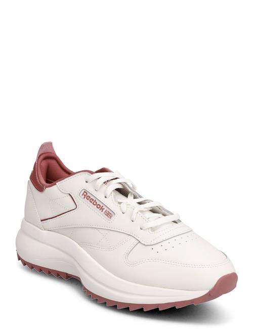 Se Reebok Classics Classic Leather Sp E Reebok Classics Cream ved Booztlet