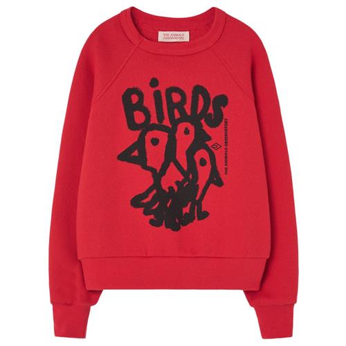 The Animals Observatory Shark Sweatshirt Red | Rød | 2 years