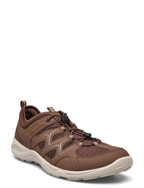 ECCO Terracruise Lt M ECCO Brown