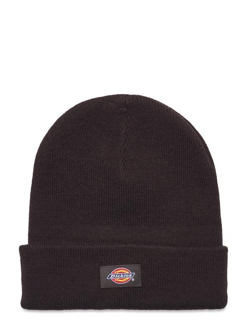 Dickies Gibsland Beanie Dickies Brown