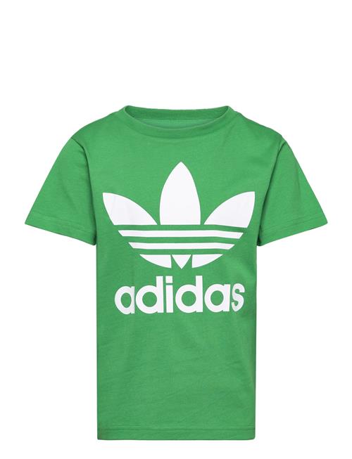 adidas Originals Trefoil Tee Adidas Originals Green