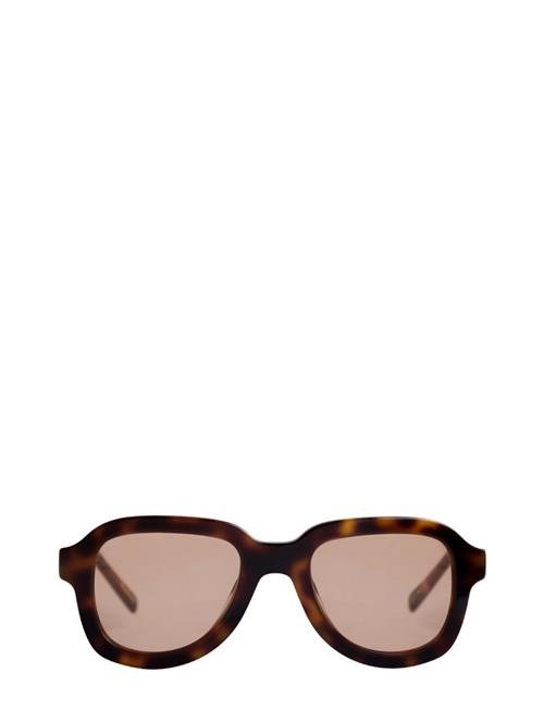 Corlin Eyewear Pascal Tortoise Cinnamon Corlin Eyewear Brown