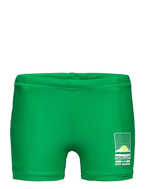 Molo Norton Solid Molo Green