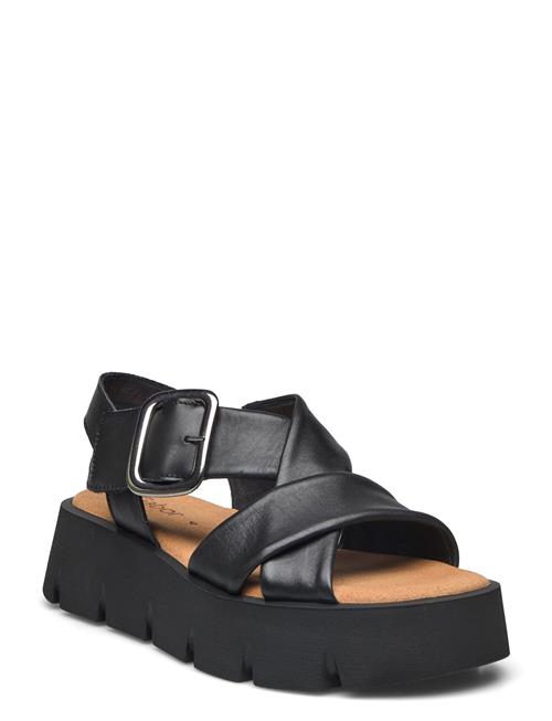 Se Gabor Sandal Gabor Black ved Booztlet