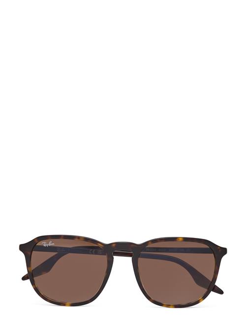 Se Ray-Ban 0Rb2203 55 902/51 Ray-Ban Brown ved Booztlet