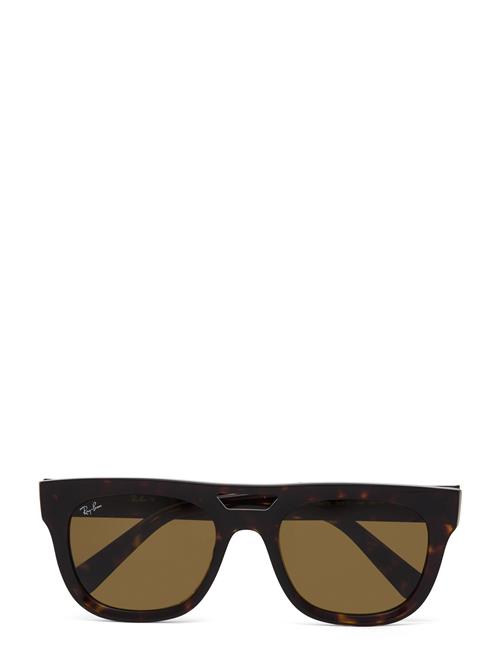 Ray-Ban Phil Ray-Ban Brown