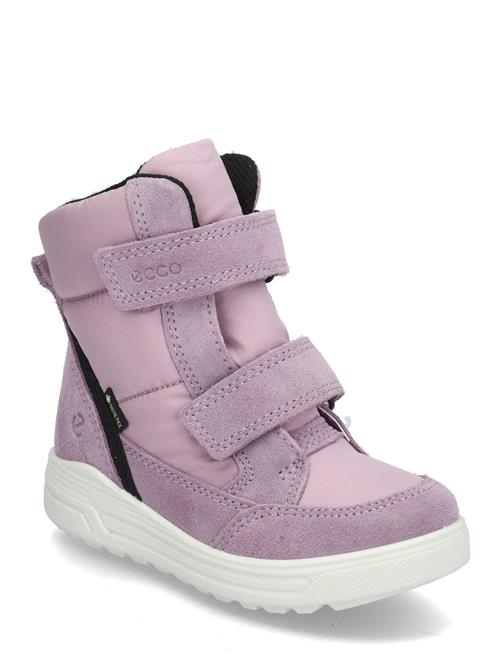 ECCO Urban Snowboarder ECCO Pink