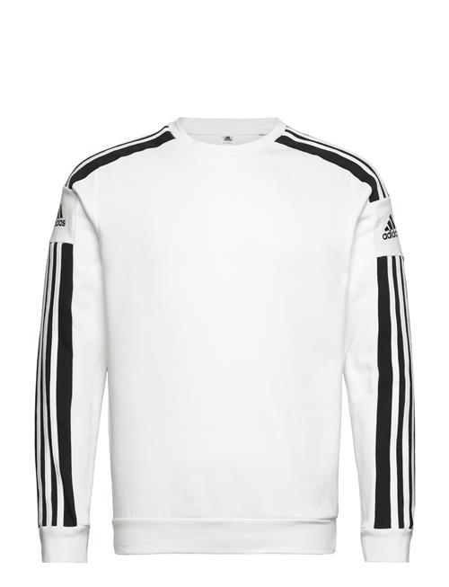 Se adidas Performance Sq21 Sw Top Adidas Performance White ved Booztlet