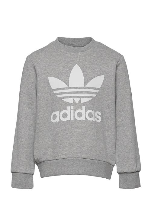 adidas Originals Trefoil Crew Adidas Originals Grey