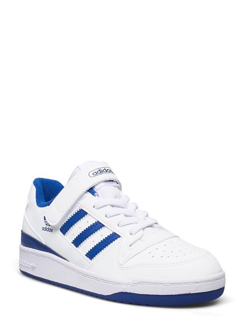 Se adidas Originals Forum Low C Adidas Originals White ved Booztlet