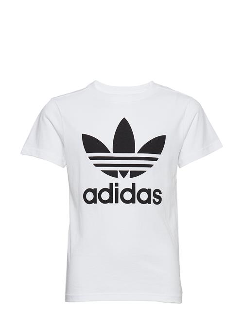 Trefoil Tee Adidas Originals White