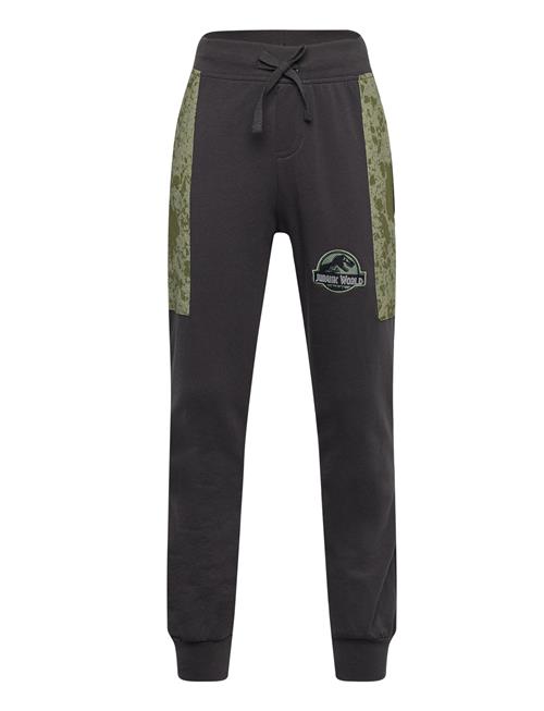 Se Sun City Jurassic Park Pants Sun City Jurassic Park Grey ved Booztlet