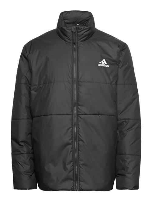 Bsc 3S Ins Jkt Adidas Sportswear Black