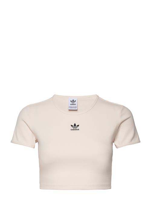 Se adidas Originals Rib Tee Adidas Originals Cream ved Booztlet