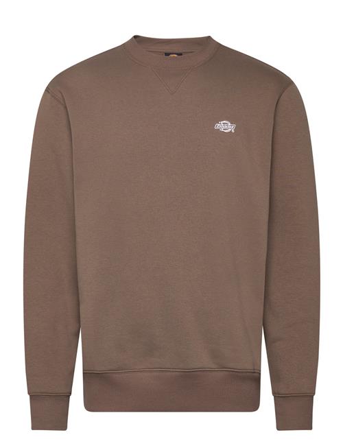 M Summerdale Sweatshirt Dickies Brown