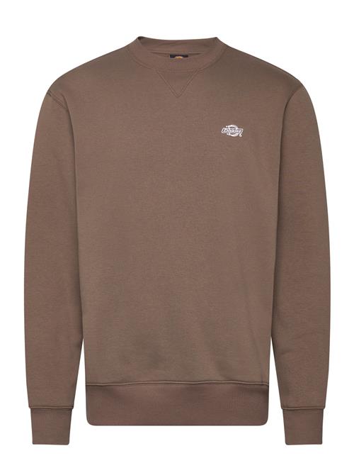 Summerdale Sweatshirt Dickies Brown