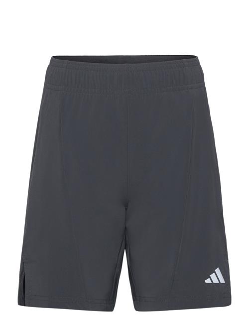 adidas Sportswear J D4T Shorts Adidas Sportswear Grey