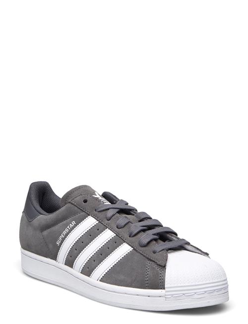 adidas Originals Superstar Adidas Originals Grey