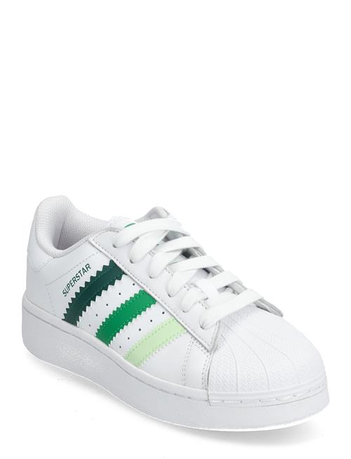 adidas Originals Superstar Xlg W Adidas Originals White