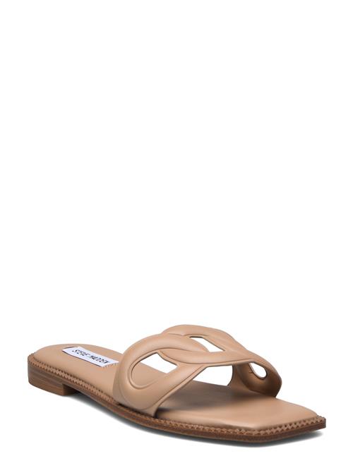 Stash Sandal Steve Madden Beige