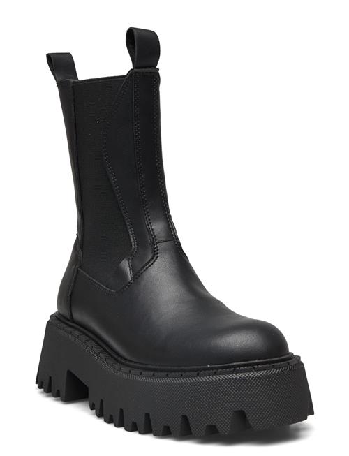 Obtain Bootie Steve Madden Black