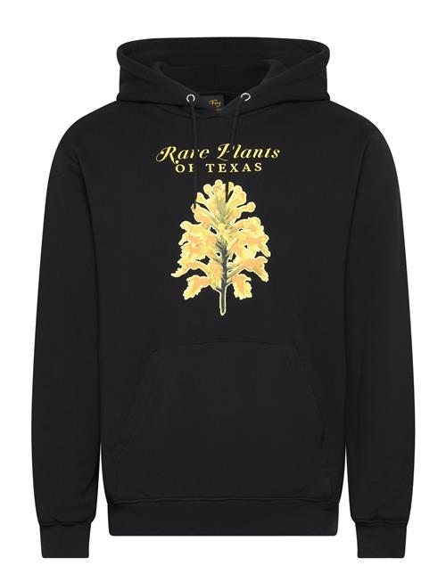 Stan Ray Rare Plants Hood Stan Ray Black