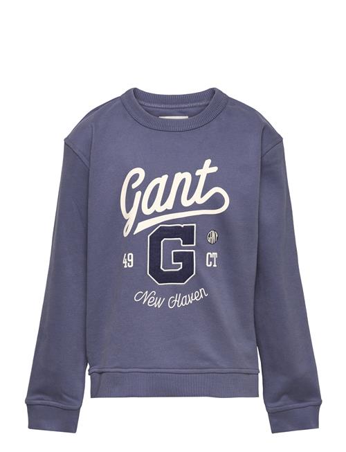 GANT Relaxed Graphic Sweat C-Neck GANT Blue