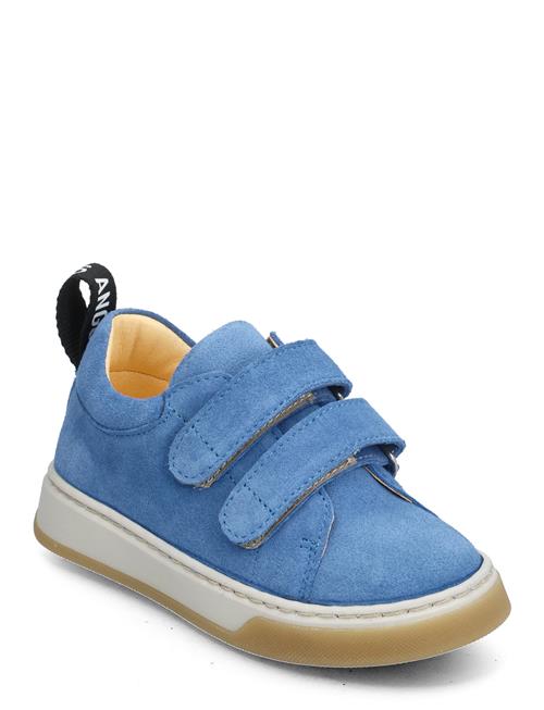 Shoes - Flat - With Velcro ANGULUS Blue