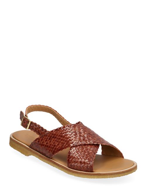 ANGULUS Sandals - Flat - Open Toe - Op ANGULUS Brown