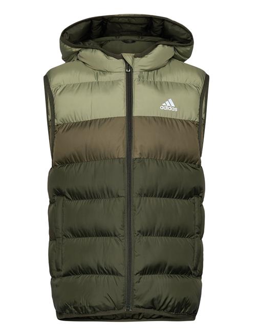 J Sd Vest Adidas Sportswear Green