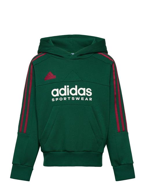 Se adidas Sportswear J Np Hoodie Adidas Sportswear Green ved Booztlet