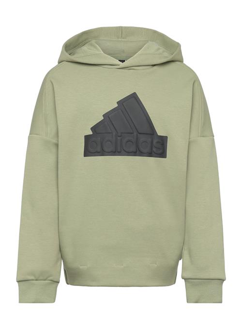 U Fi Logo Hd Adidas Sportswear Khaki