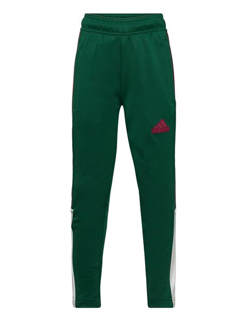 adidas Sportswear J Np Tiro Pant Adidas Sportswear Green