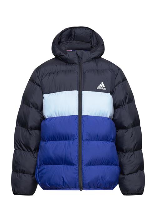 Lk Sd Jkt Adidas Sportswear Blue