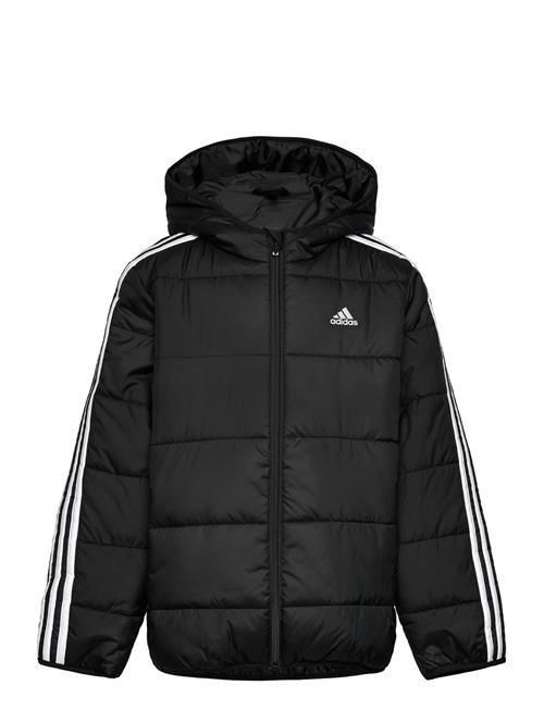 J Ess 3S Pad Adidas Sportswear Black