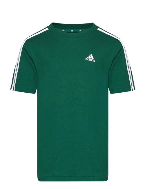 U 3S Tee Adidas Sportswear Green