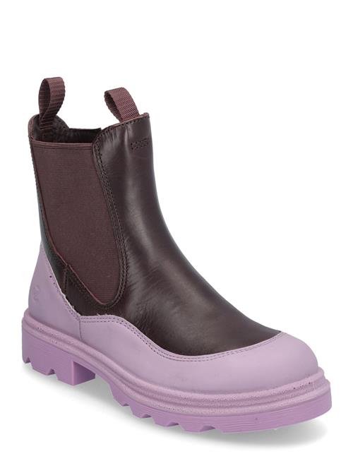 ECCO Grainer K ECCO Purple