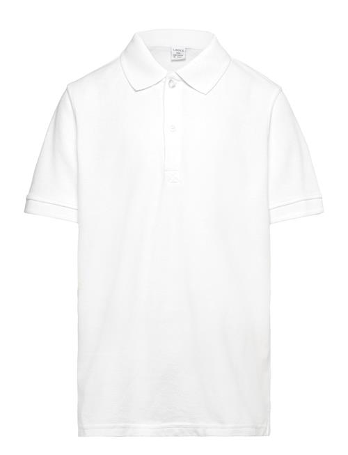 Lindex T Shirt Pique Lindex White