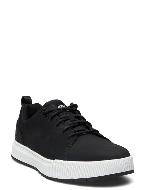 Timberland Maple Grove Low Lace Up Sneaker Jet Black Timberland Black