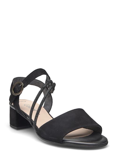 Se Gabor Ankle-Strap Sandal Gabor Black ved Booztlet