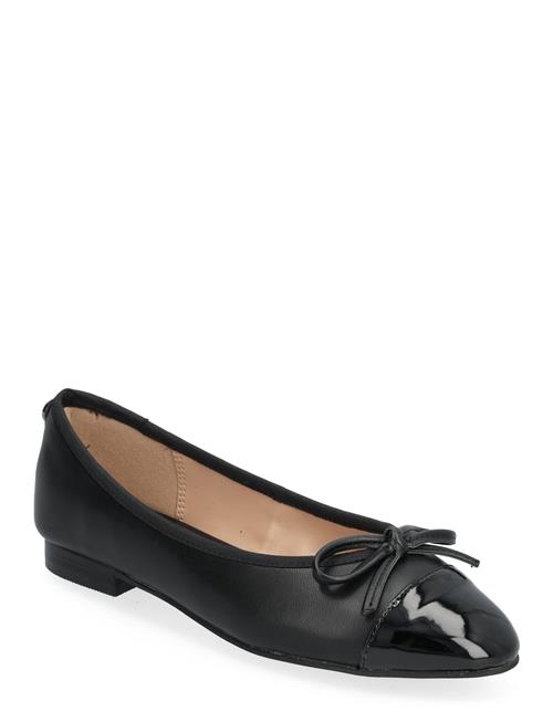 Ellison Ballerina Steve Madden Black