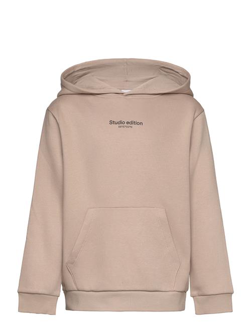 Nkmbrody Ls Nreg Sweat Wh Bru Noos Name It Beige