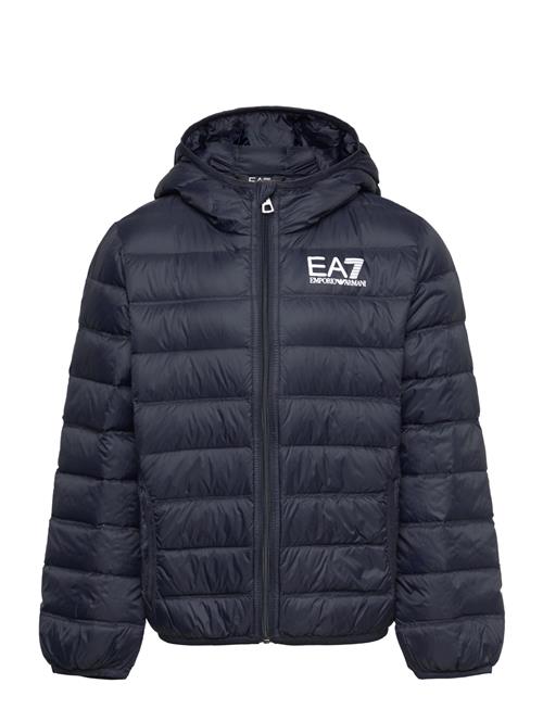 Down Jacket EA7 Navy